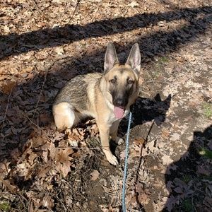 Meet your Posher, Jesse